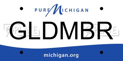 GLDMBR Michigan License Plate