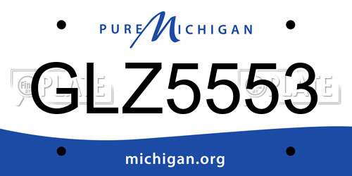 GLZ5553 Michigan License Plate