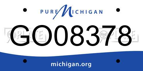 GO08378 Michigan License Plate