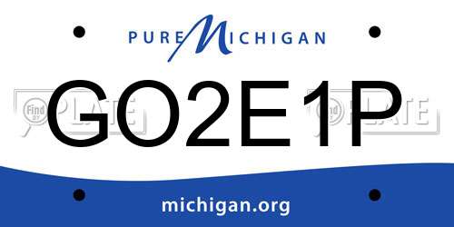 GO2E1P Michigan License Plate