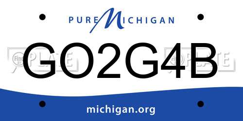 GO2G4B Michigan License Plate
