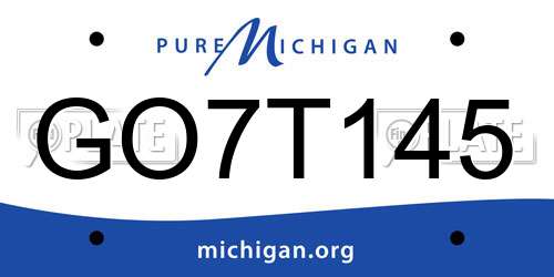 GO7T145 Michigan License Plate
