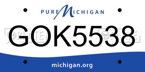 GOK5538 Michigan License Plate