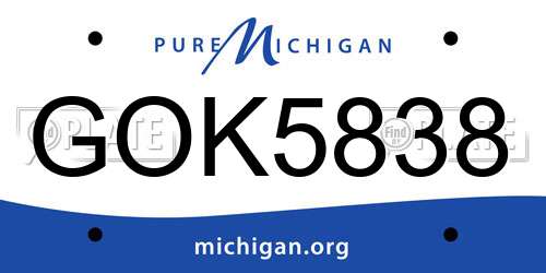 GOK5838 Michigan License Plate