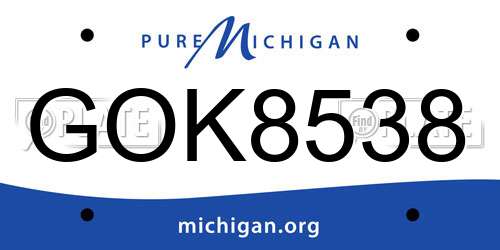 GOK8538 Michigan License Plate