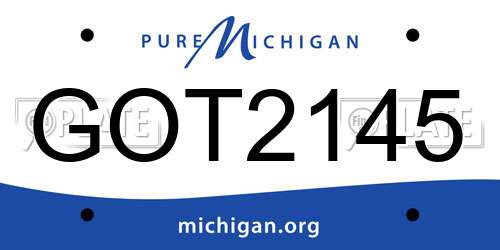 GOT2145 Michigan License Plate