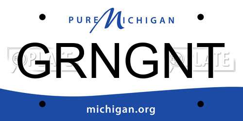 GRNGNT Michigan License Plate
