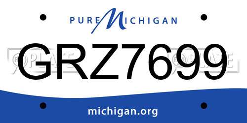 GRZ7699 Michigan License Plate