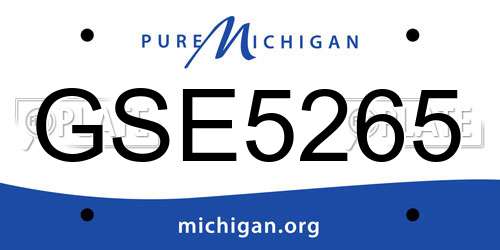 GSE5265 Michigan License Plate