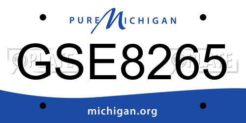 GSE8265 Michigan License Plate