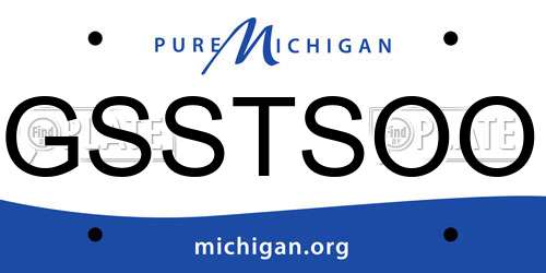 GSSTSOO Michigan License Plate