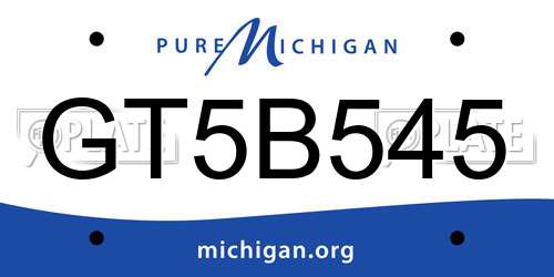 GT5B545 Michigan License Plate
