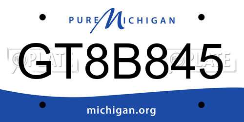 GT8B845 Michigan License Plate