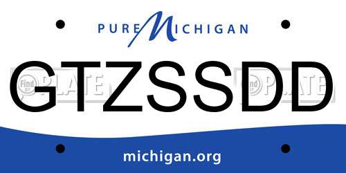 GTZSSDD Michigan License Plate