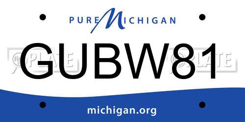 GUBW81 Michigan License Plate