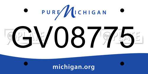 GV08775 Michigan License Plate