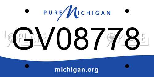 GV08778 Michigan License Plate
