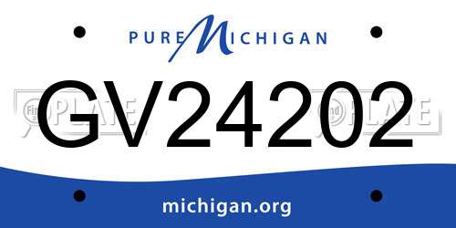 GV24202 Michigan License Plate