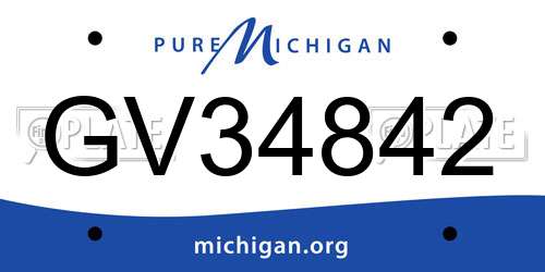 GV34842 Michigan License Plate