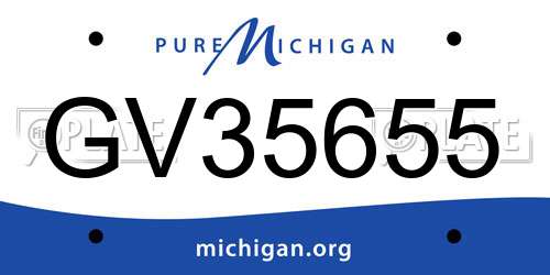 GV35655 Michigan License Plate