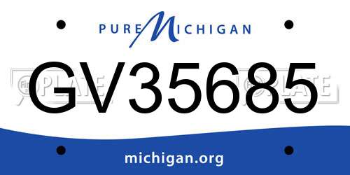 GV35685 Michigan License Plate