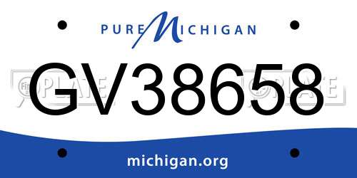 GV38658 Michigan License Plate