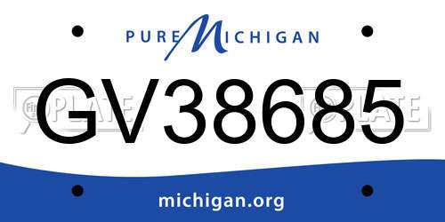 GV38685 Michigan License Plate
