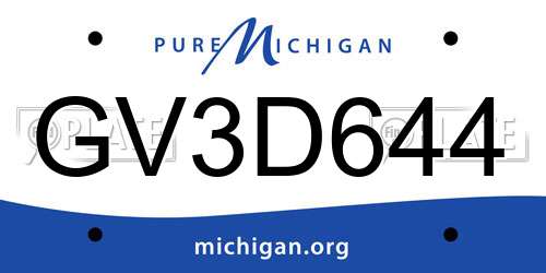 GV3D644 Michigan License Plate