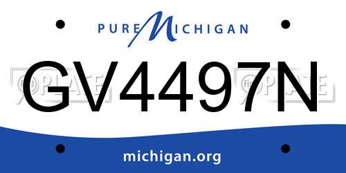 GV4497N Michigan License Plate