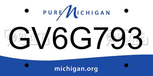 GV6G793 Michigan License Plate