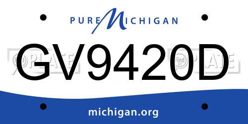 GV9420D Michigan License Plate