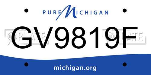 GV9819F Michigan License Plate
