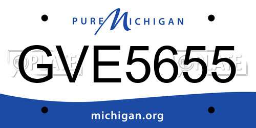 GVE5655 Michigan License Plate