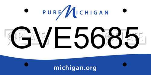 GVE5685 Michigan License Plate