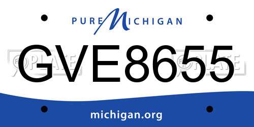 GVE8655 Michigan License Plate