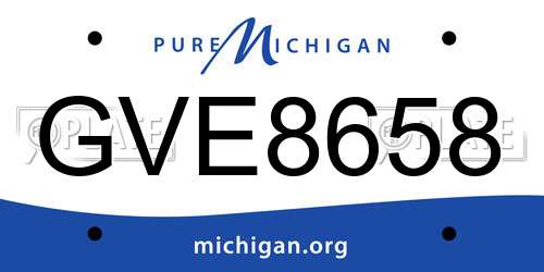 GVE8658 Michigan License Plate