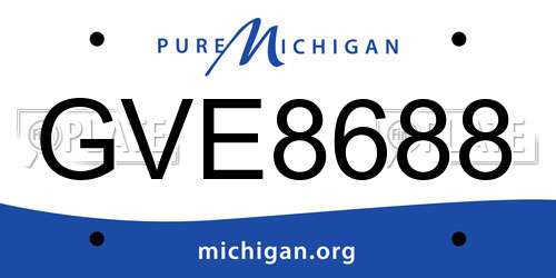 GVE8688 Michigan License Plate