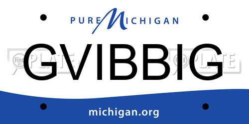 GVIBBIG Michigan License Plate
