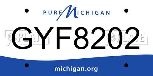 GYF8202 Michigan License Plate