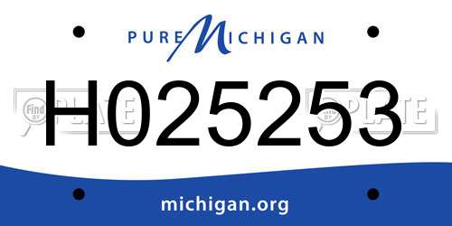 H025253 Michigan License Plate