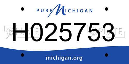 H025753 Michigan License Plate