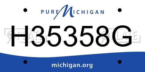 H35358G Michigan License Plate