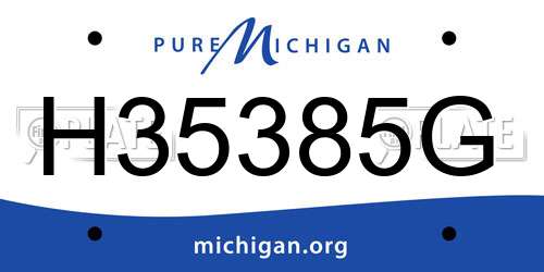H35385G Michigan License Plate