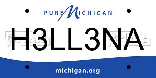 H3LL3NA Michigan License Plate