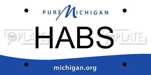 HABS Michigan License Plate