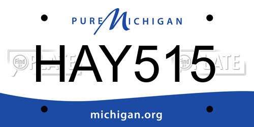 HAY515 Michigan License Plate