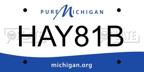 HAY81B Michigan License Plate