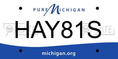 HAY81S Michigan License Plate