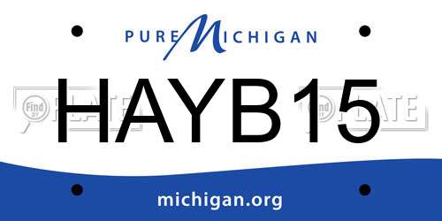 HAYB15 Michigan License Plate