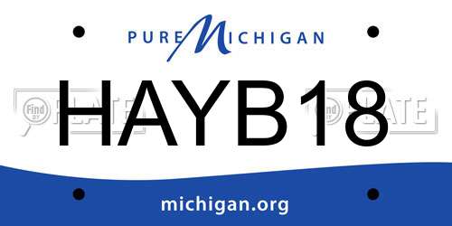 HAYB18 Michigan License Plate